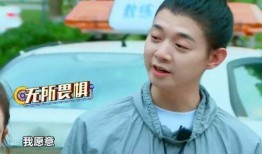 张炘炀娱乐吃瓜酱,揭秘娱乐圈幕后故事