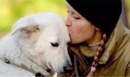 走近科学小狗长大娱乐吃瓜酱,揭秘小狗长大娱乐吃瓜酱背后的秘密